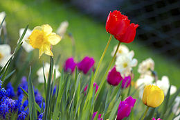 Spring has sprung!