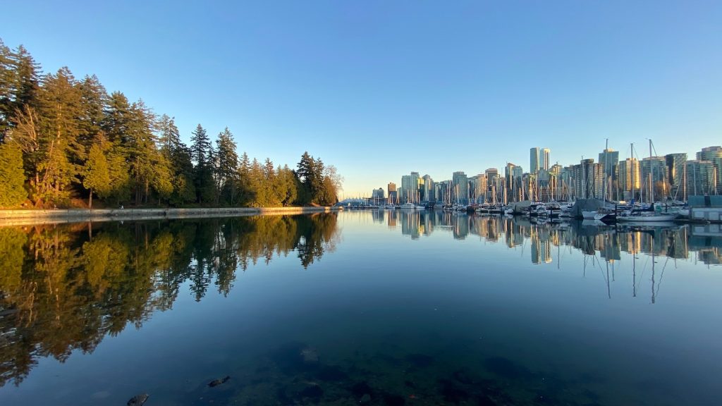 MARKET UPDATE – JULY 2024