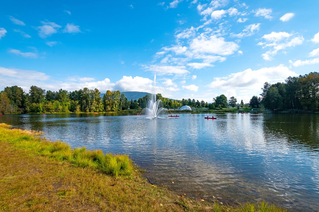 MARKET UPDATE – AUGUST 2022