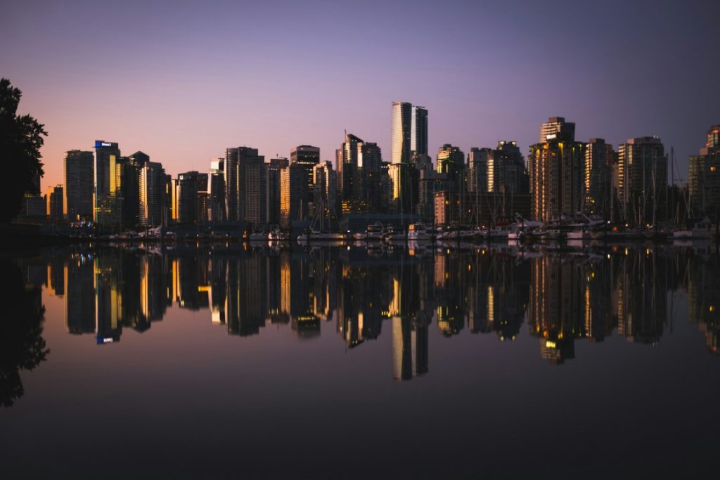 MARKET UPDATE – NOVEMBER 2024